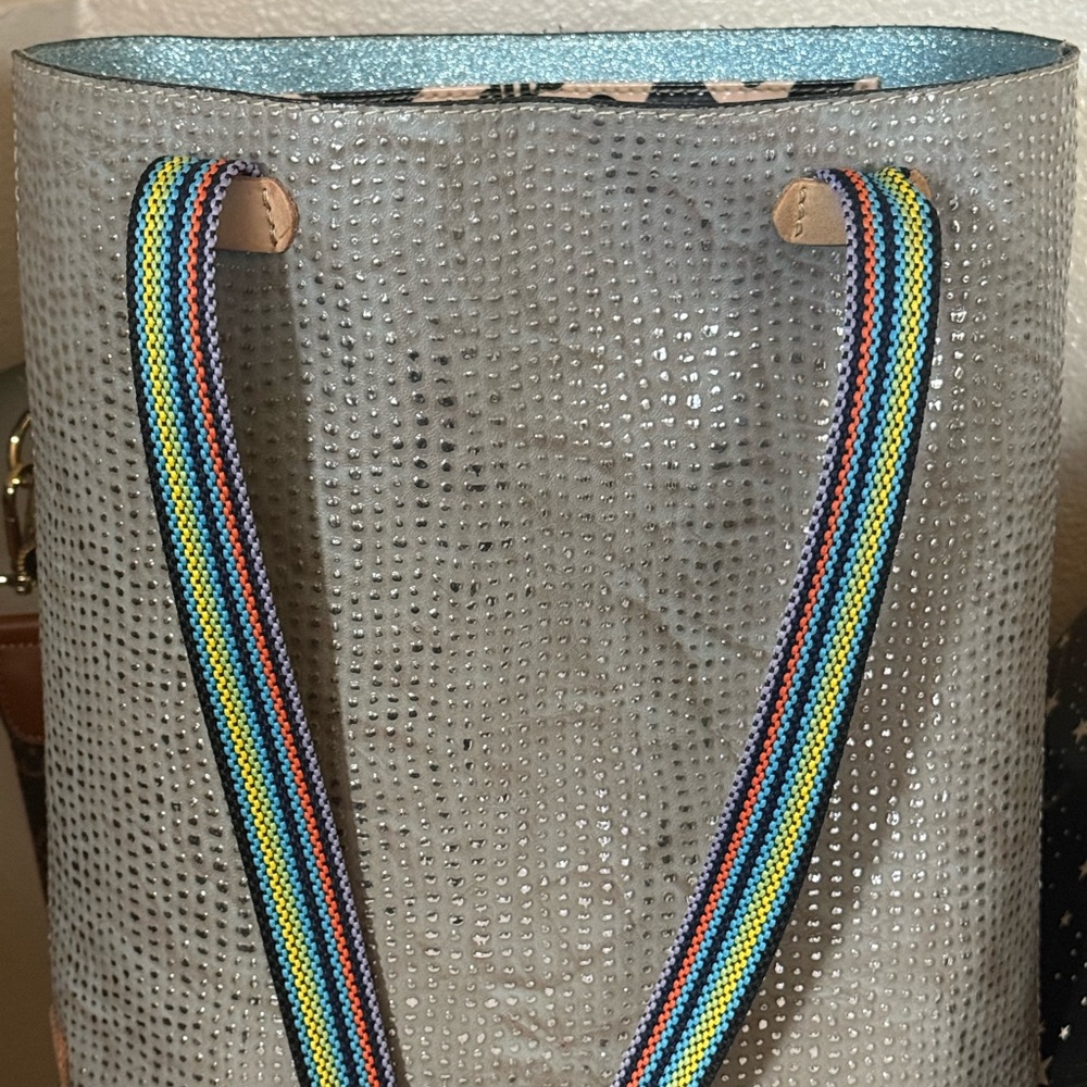 Consuela Silver Tote with Multicolor Straps